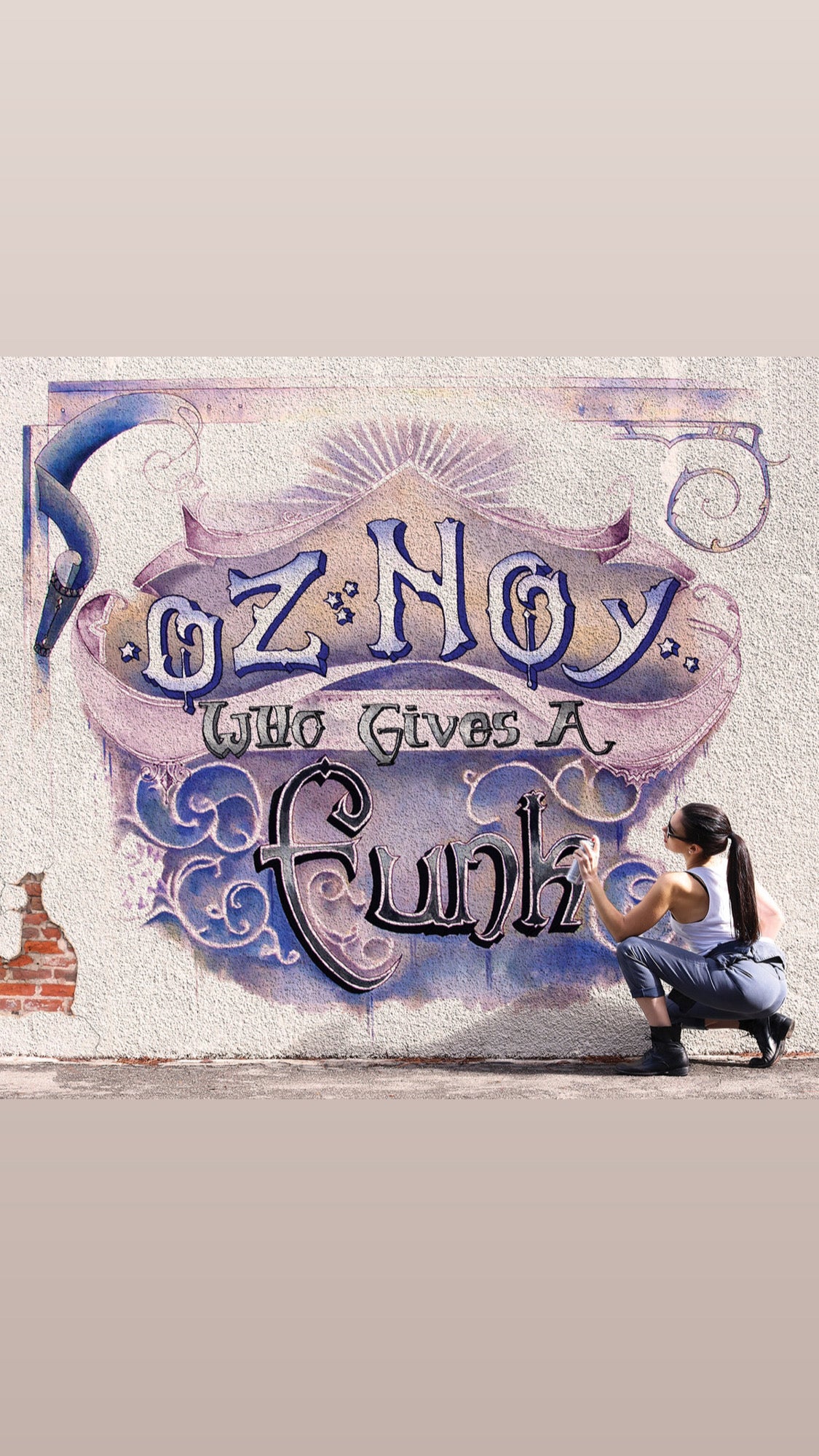 'Who Gives A Funk' Original Artwork